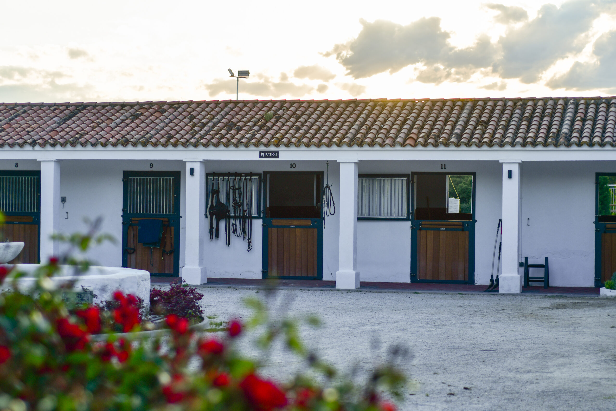 The view on the patio of stables, with roses and the fountain in the foreground